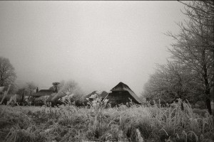 Hoar frost and a thatched library. Sussex, 2010
