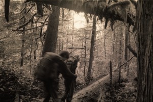 Northern Vancouver Island, 2004