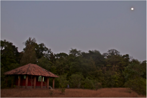 Moonrise at the little house in the clearing at Agumbe