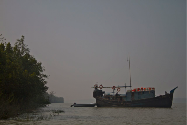 FB Aysa in the Sundarbans