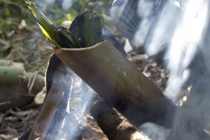 We baked rice, fish and vegetables in fresh-cut bamboo over an open fire during our walks in Namdapha.